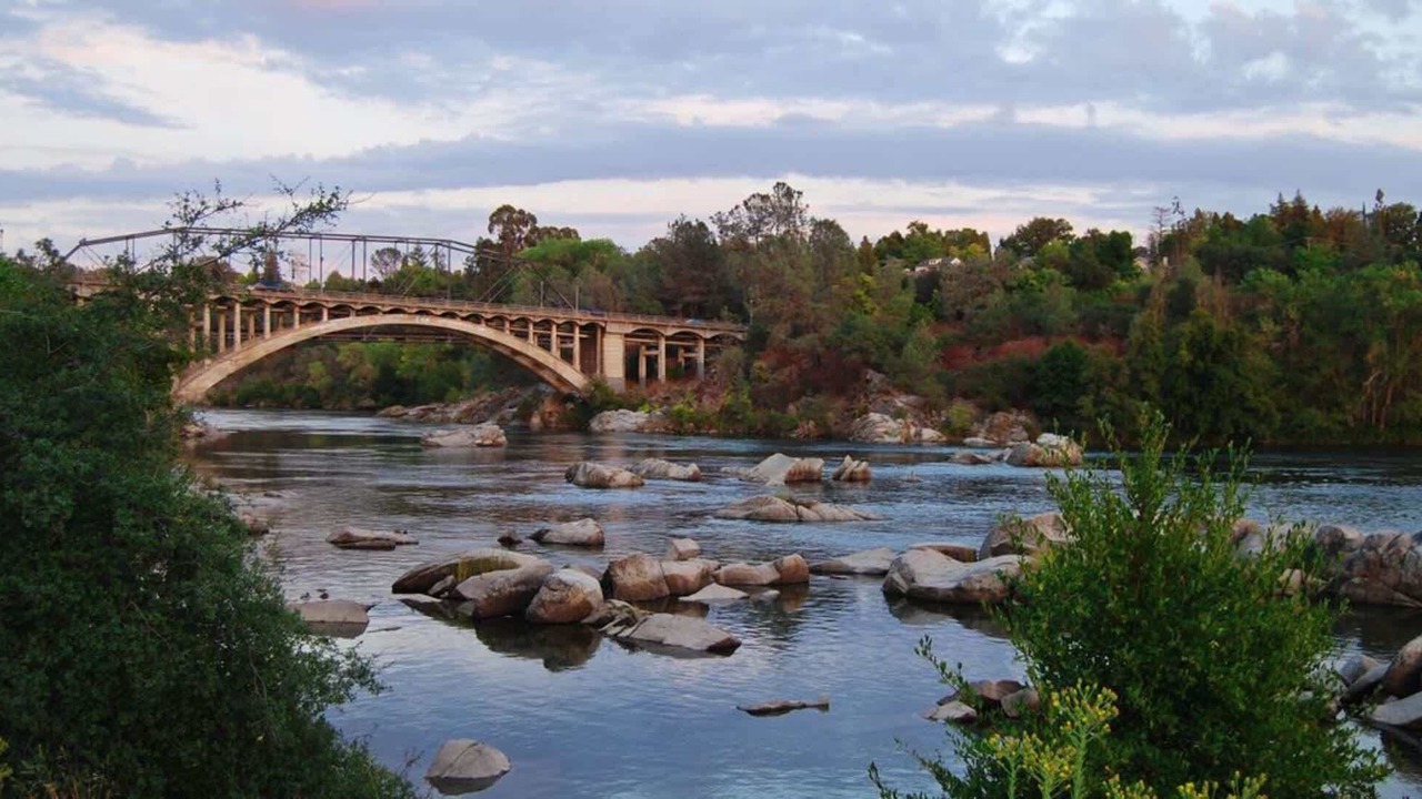 Photo of Others in Citrus Heights