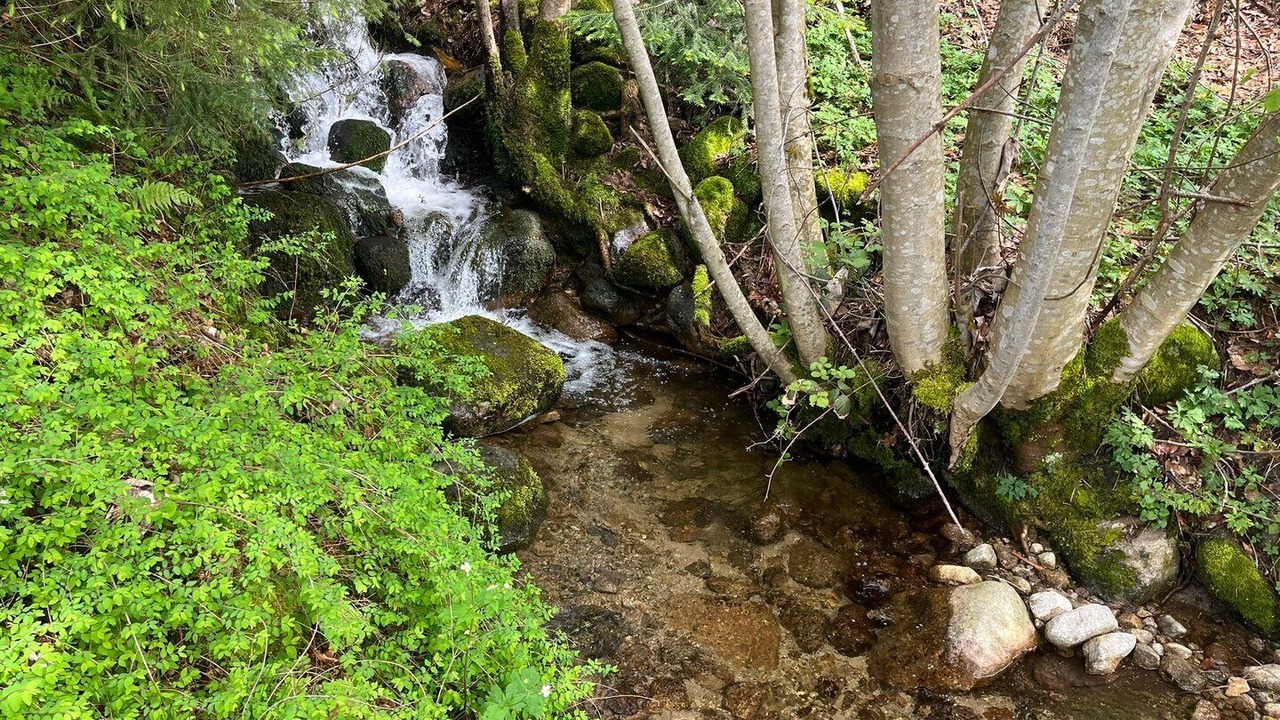 Photo of Others in Bussang