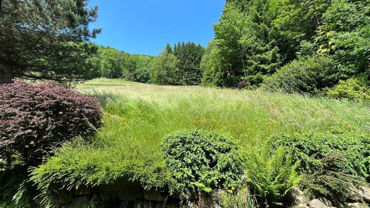 Photo of Outdoor in Bussang