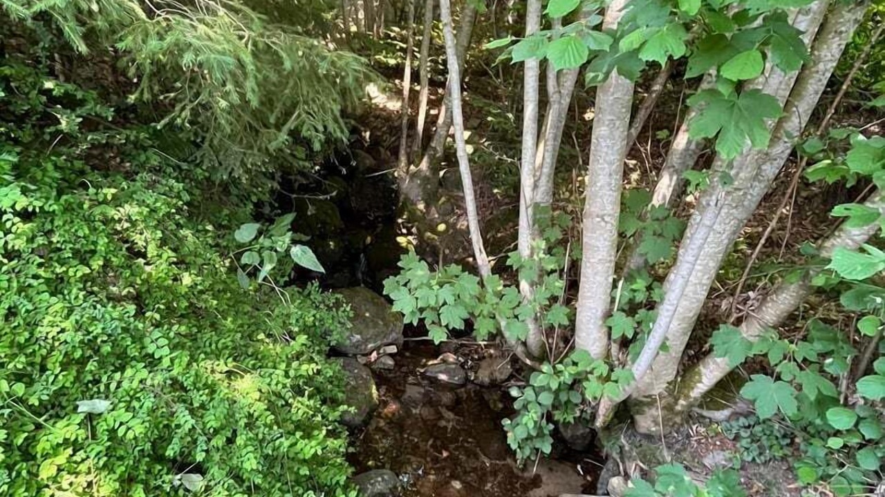 Photo of Others in Bussang