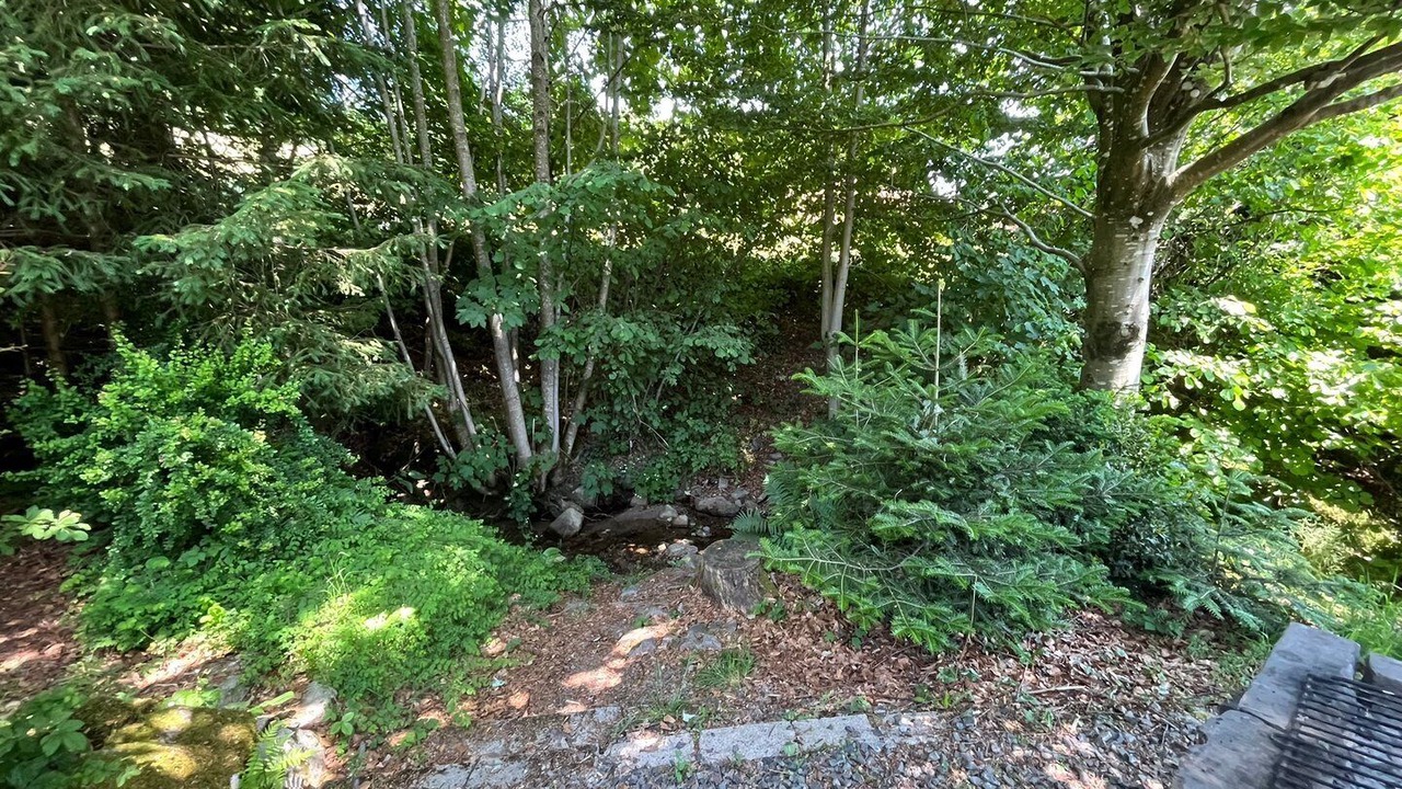 Photo of Outdoor in Bussang