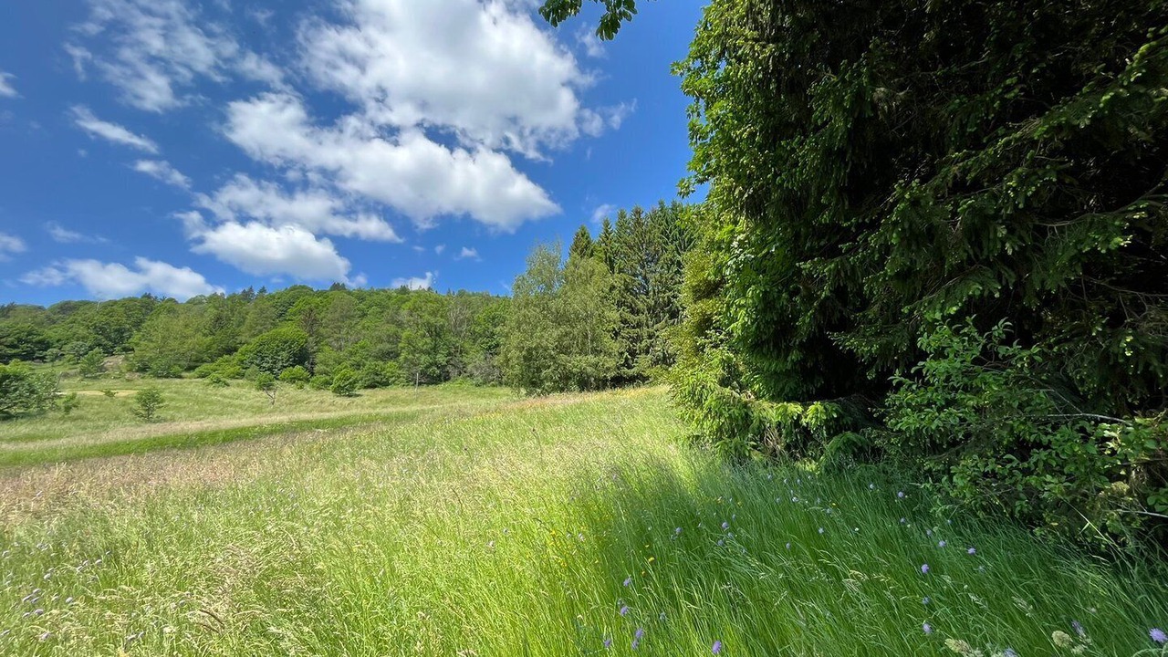 Photo of Others in Bussang