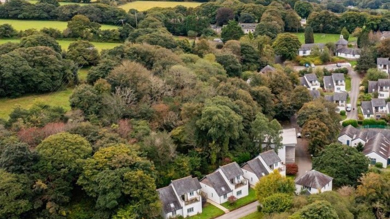 Photo of Others in Carnon Downs