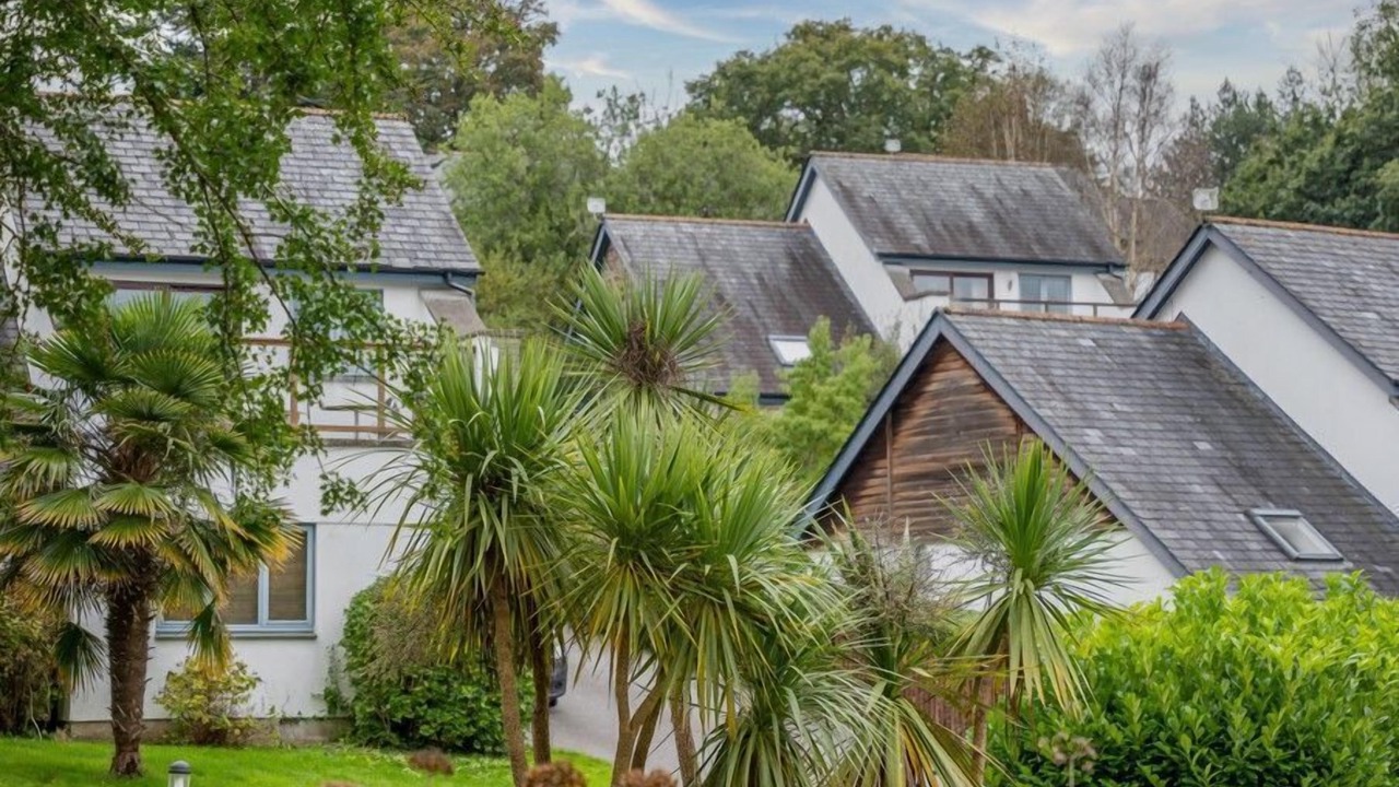 Photo of Others in Carnon Downs