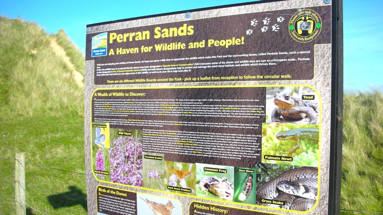 Photo of Others in Perranporth