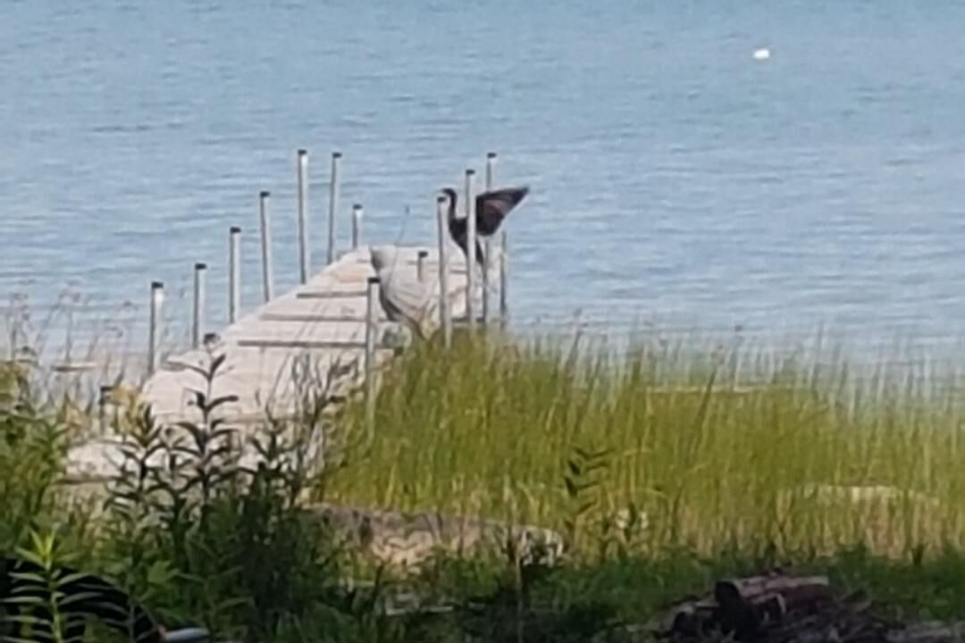 Photo of Outdoor in Colpoys Bay