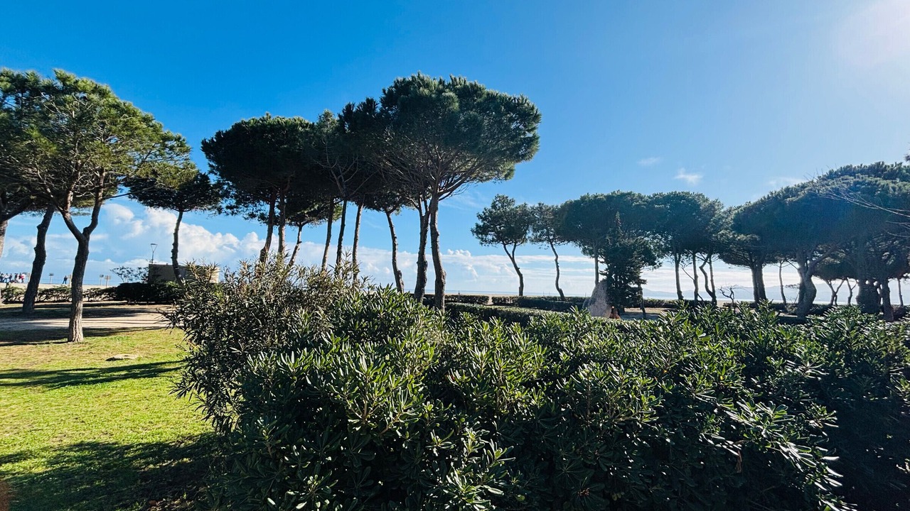 Photo of Outdoor in Argeles Plage