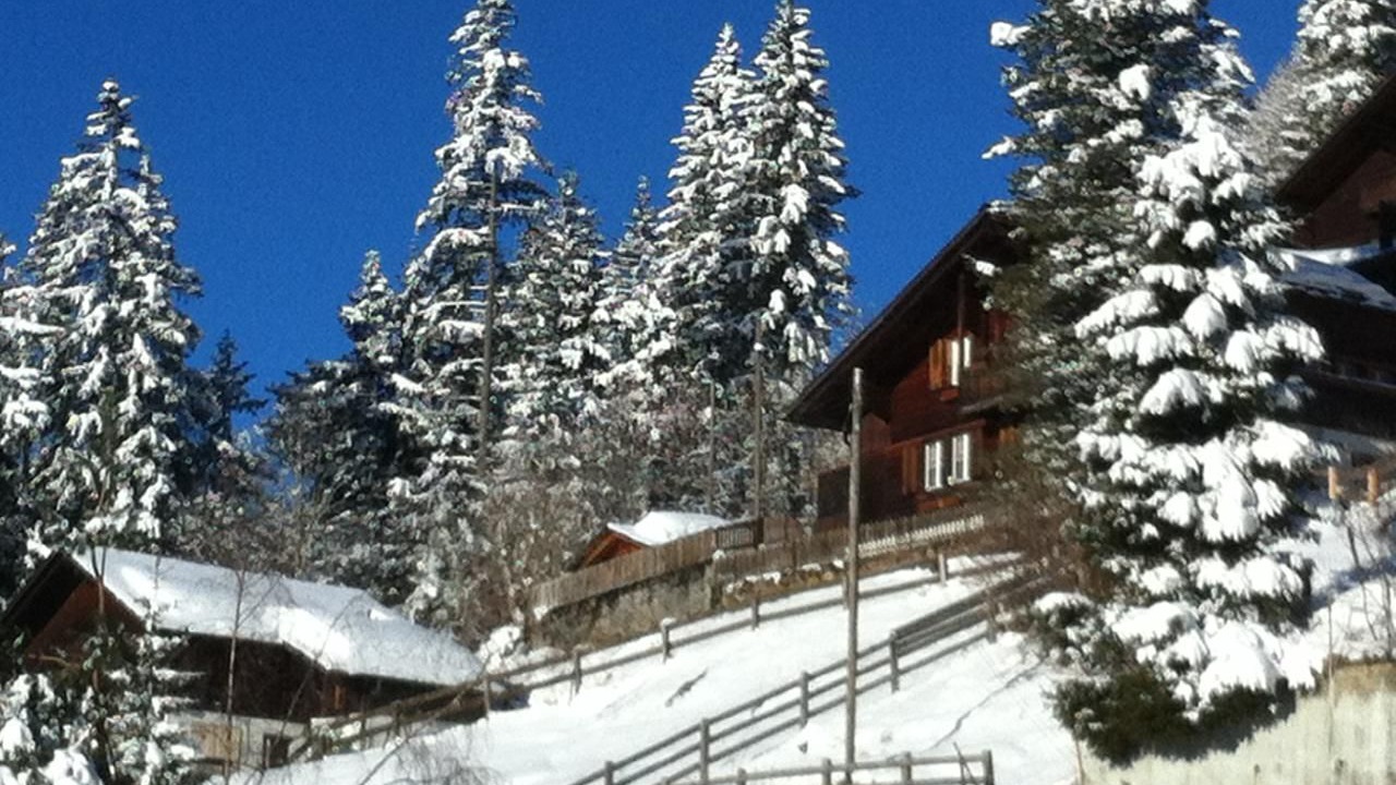 Photo of Others in Adelboden