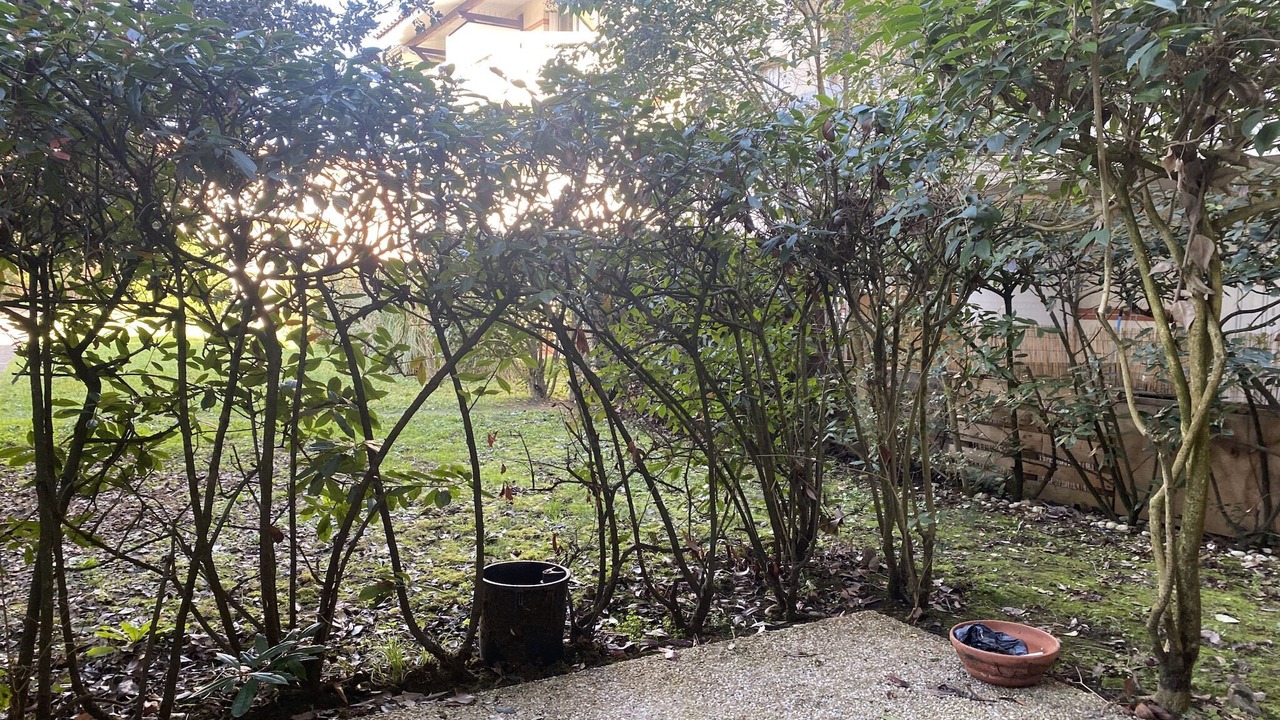 Photo of Outdoor in Toulouse North