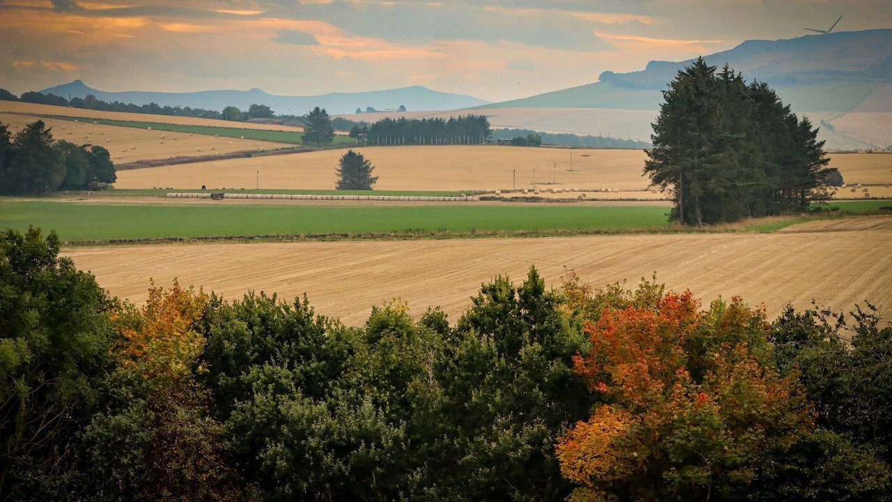 Photo of Others in Wartle