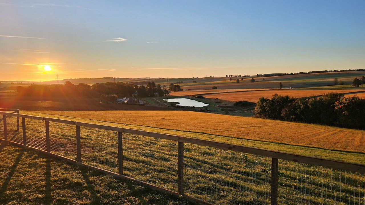 Photo of Others in Wartle