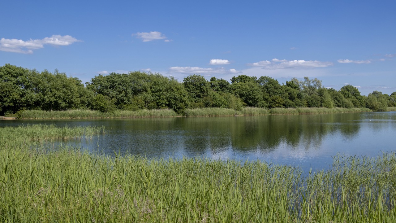 Photo of Others in Laverton