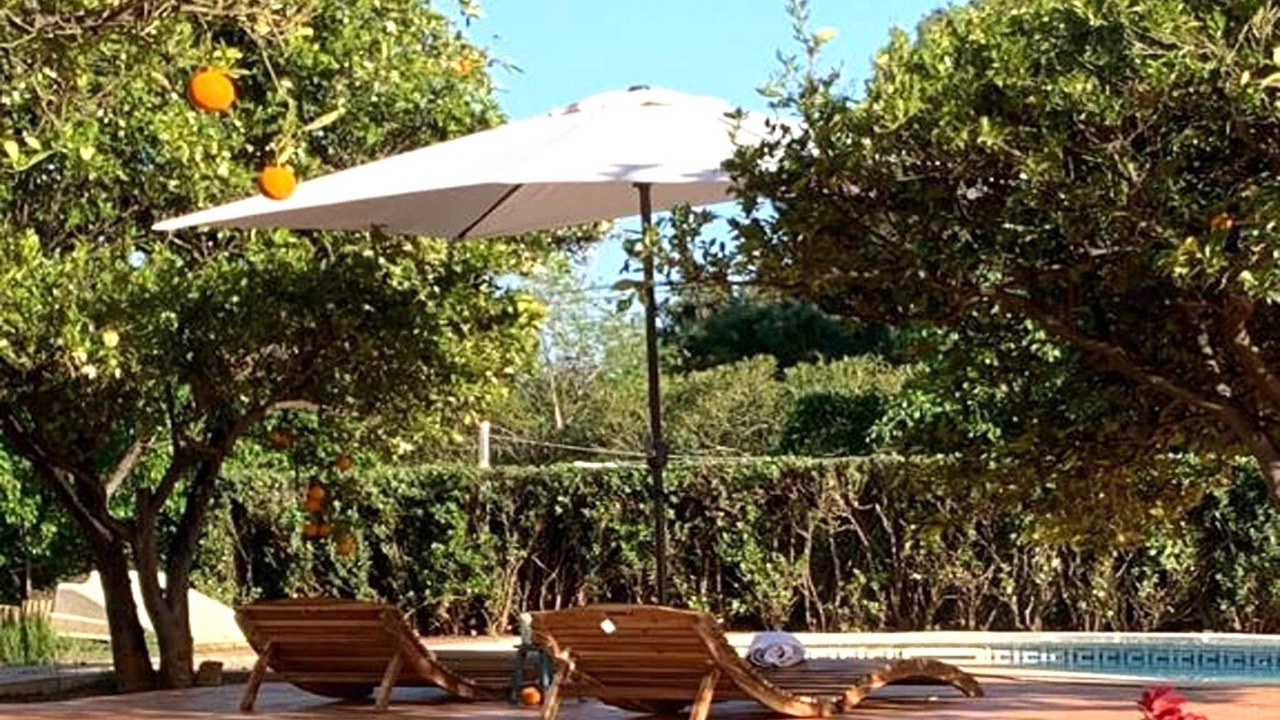 Photo of Outdoor in Riudoms