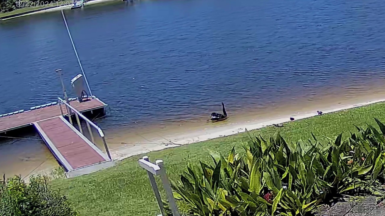 Photo of Others in Mermaid Waters