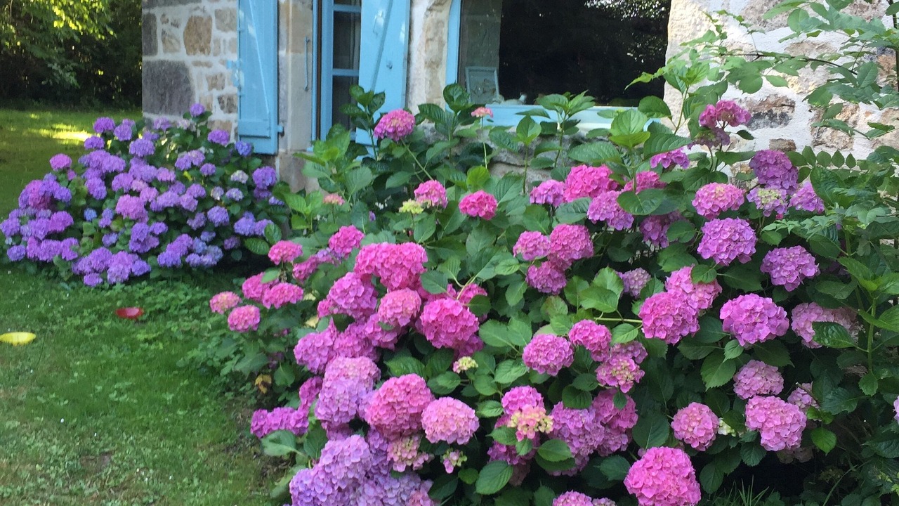 Photo of Outdoor in Andressac