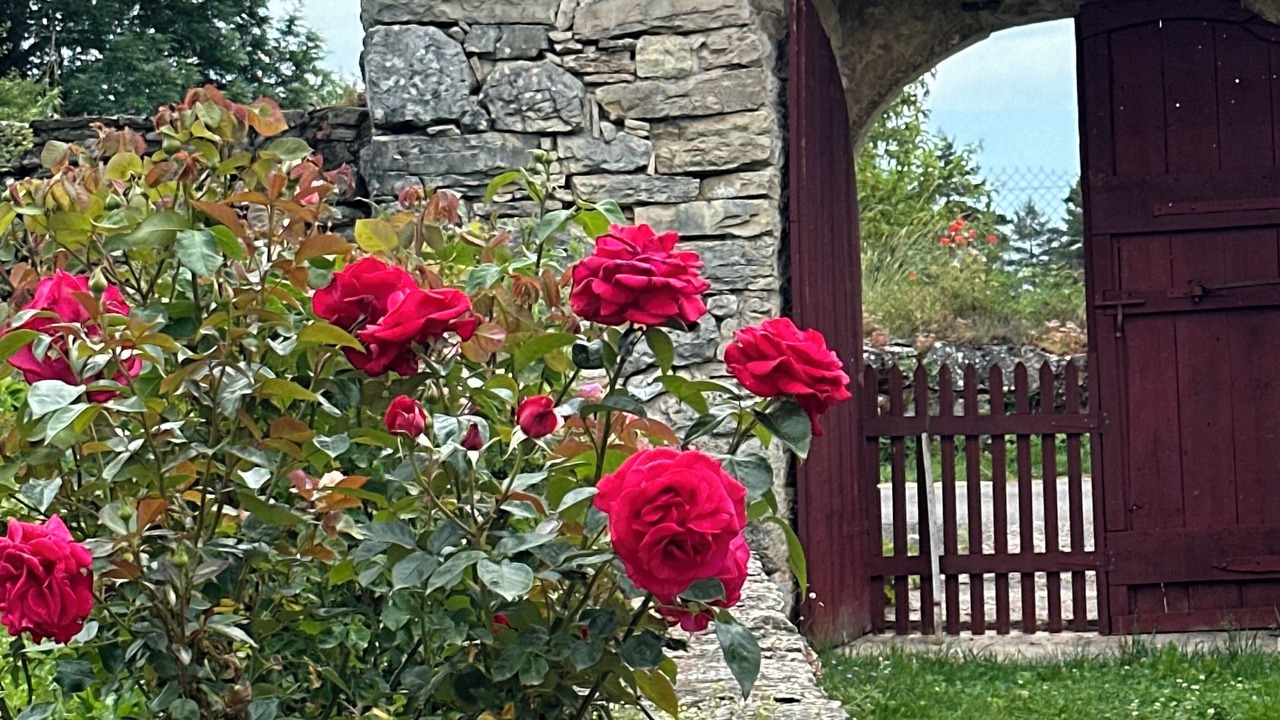 Photo of Outdoor in Laval-du-Tarn