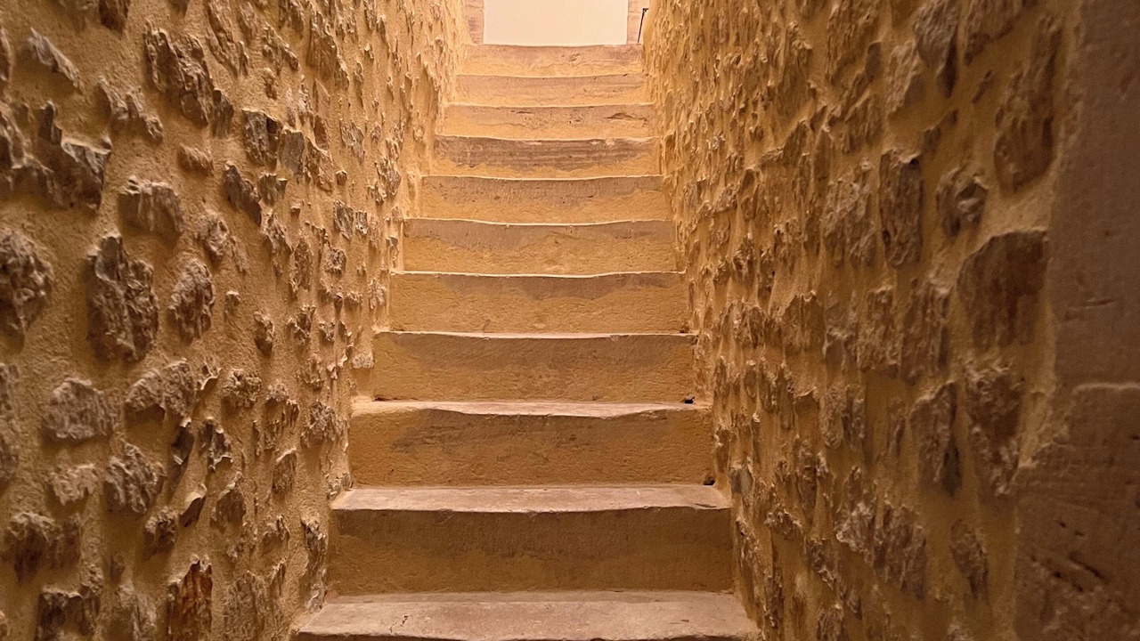 Photo of Others in Saint-Vigor-le-Grand