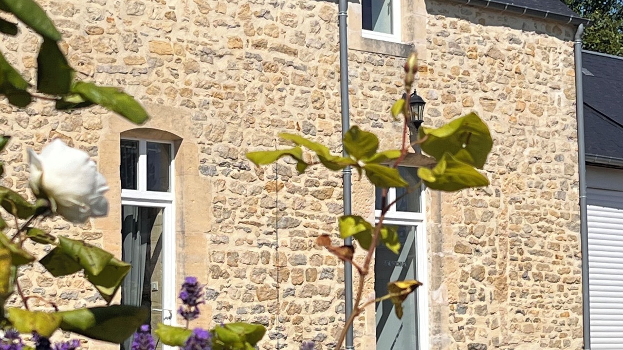 Photo of Outdoor in Saint-Vigor-le-Grand