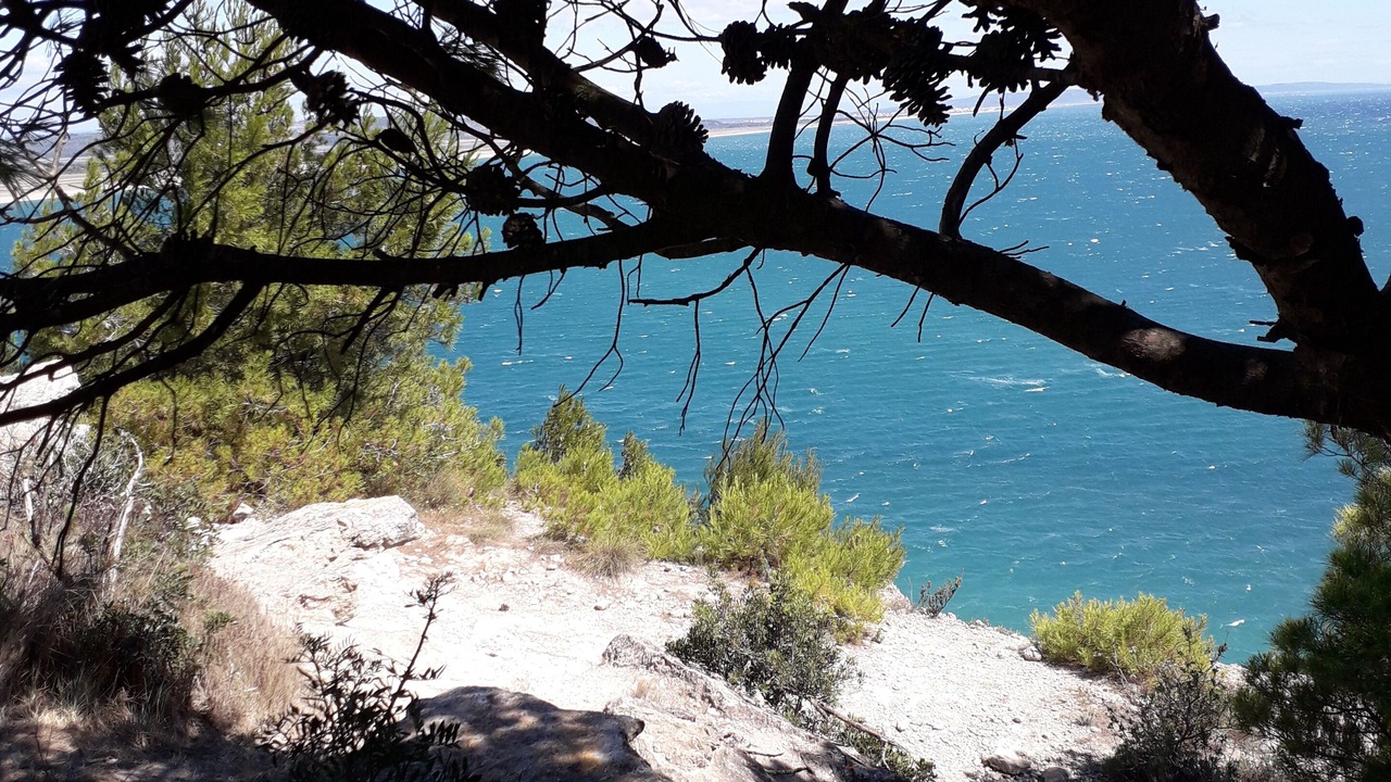 Photo of Others in La Franqui-Plage