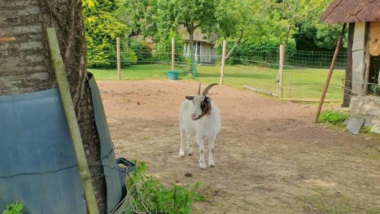 Photo of Outdoor in Limpiville