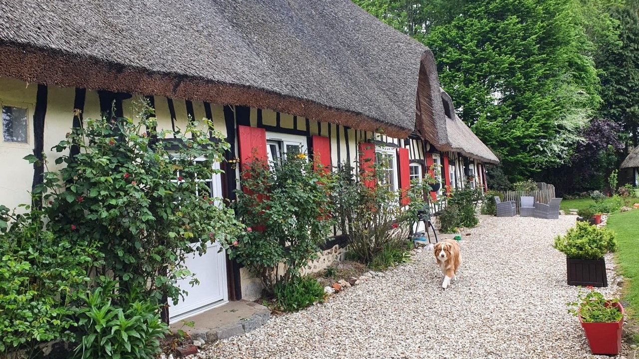 Photo of Outdoor in Limpiville