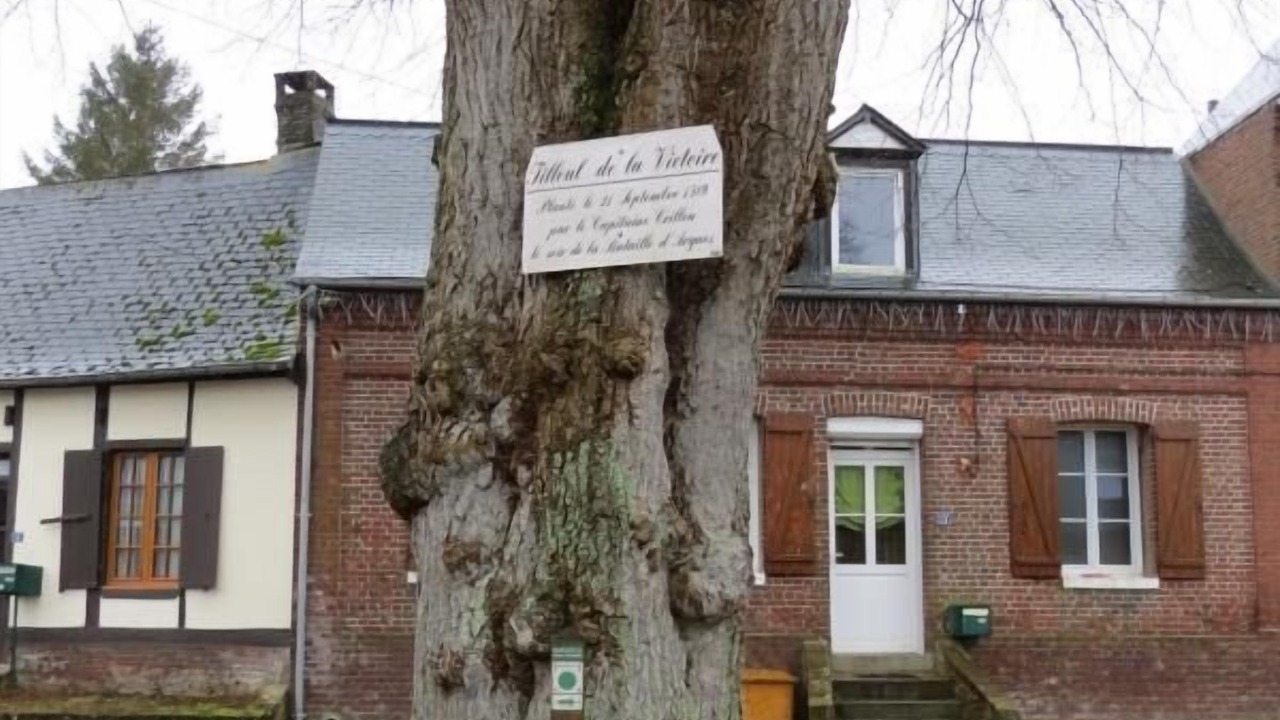 Photo of Outdoor in Bailly-en-Riviere
