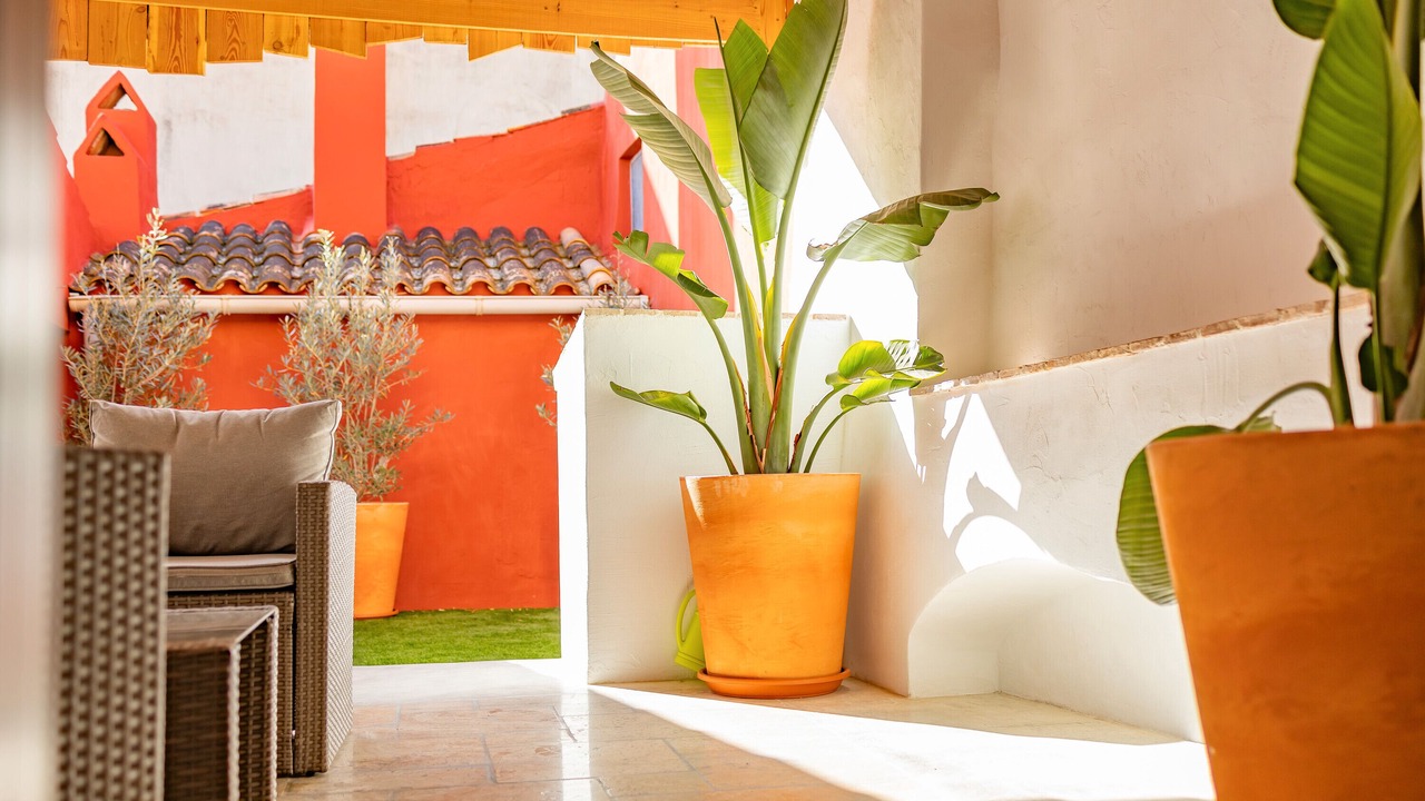 Photo of Patio Balcony in Callosa d' En Sarria