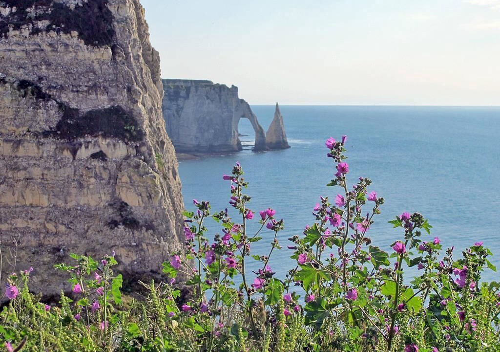 Photo of Others in Etretat
