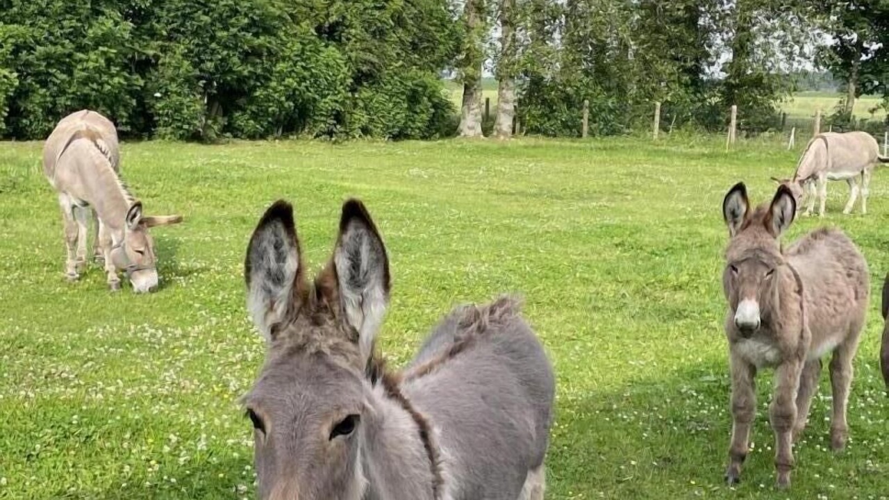 Photo of Others in Thiergeville