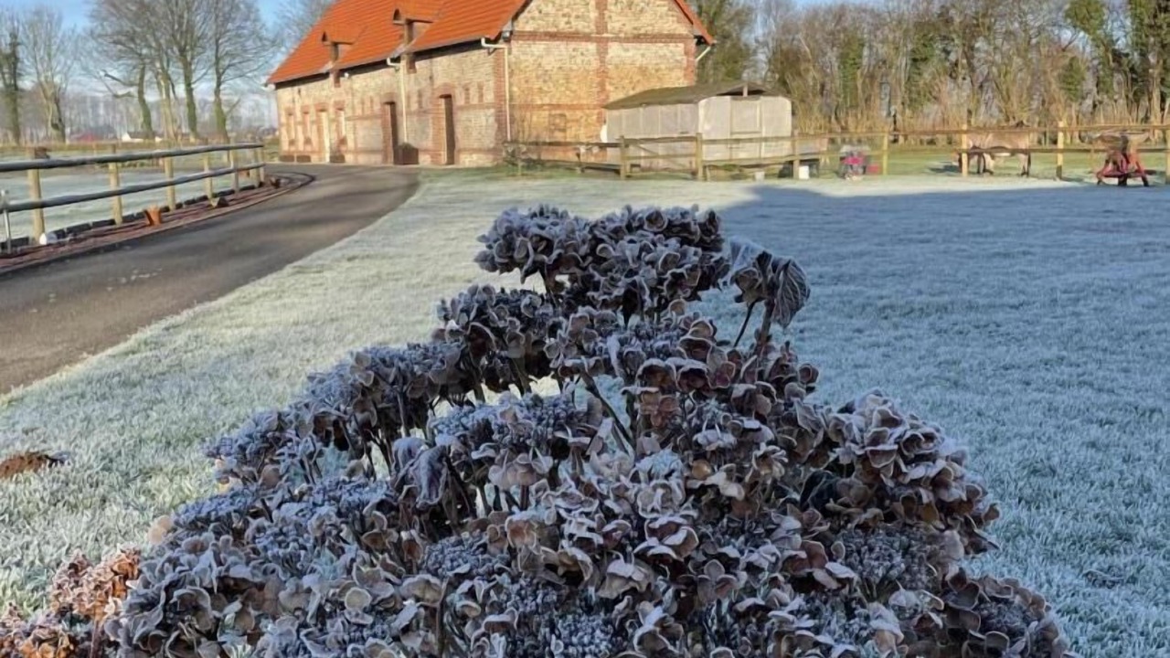 Photo of Outdoor in Thiergeville