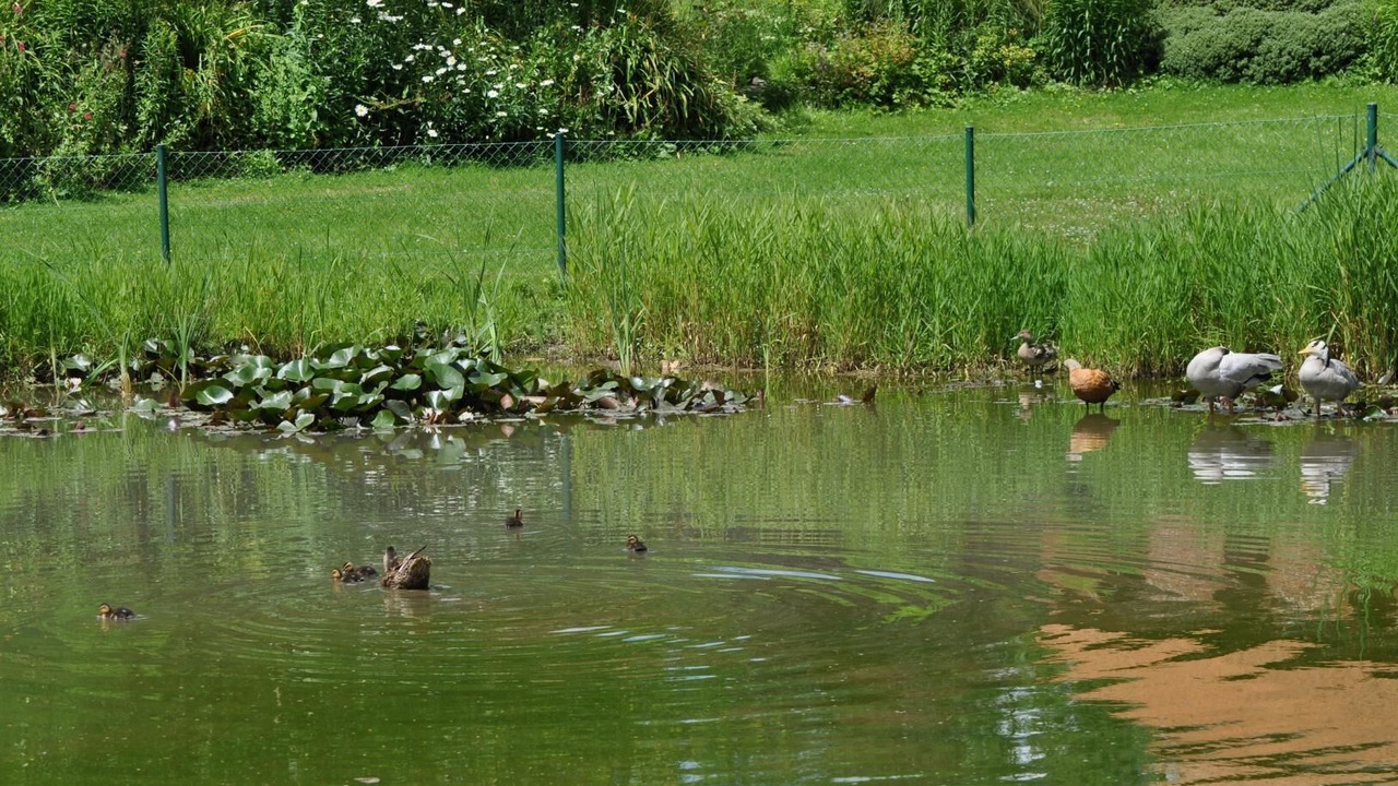 Photo of Others in Saint-Crespin