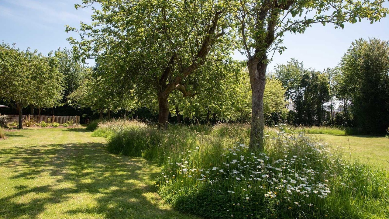 Photo of Outdoor in Le Tilleul