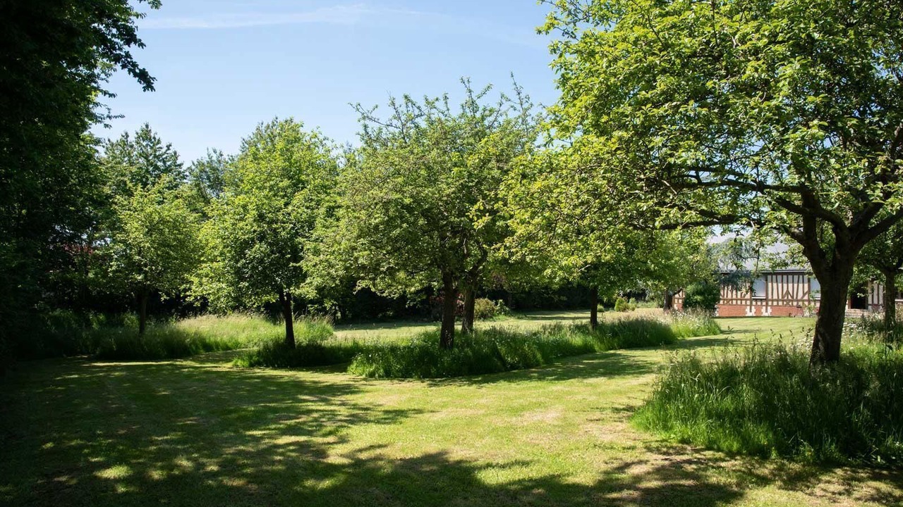 Photo of Outdoor in Le Tilleul