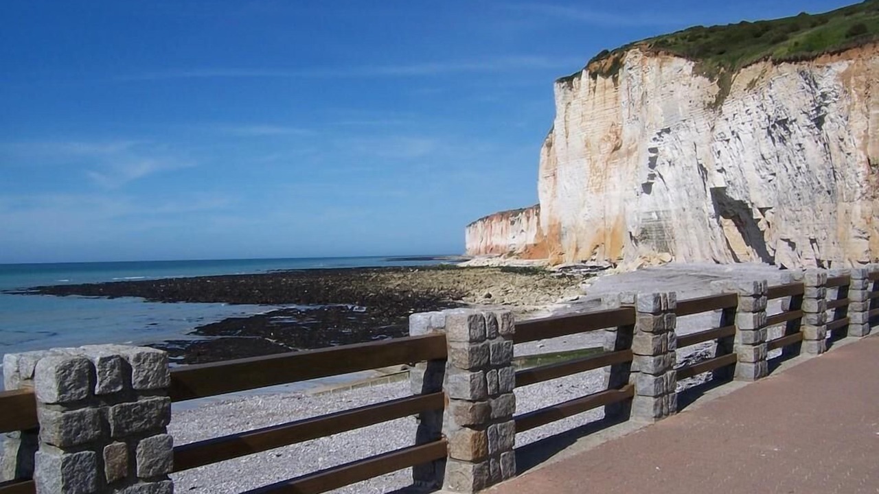 Photo of Others in Saint-Martin-aux-Buneaux