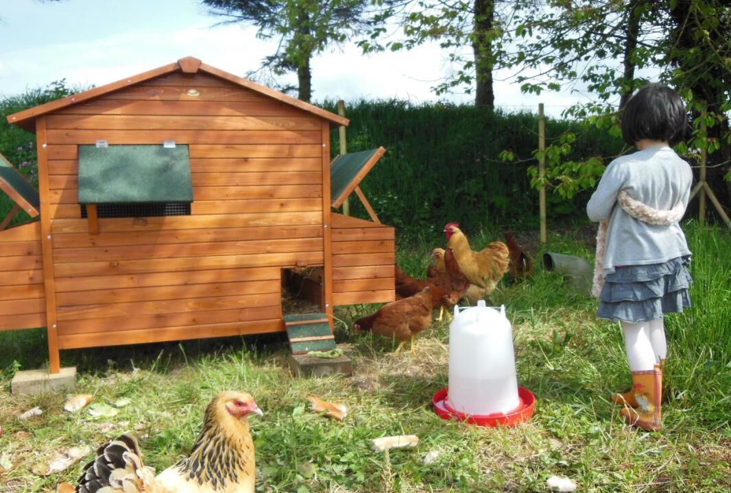 Photo of Outdoor in Saint-Crespin