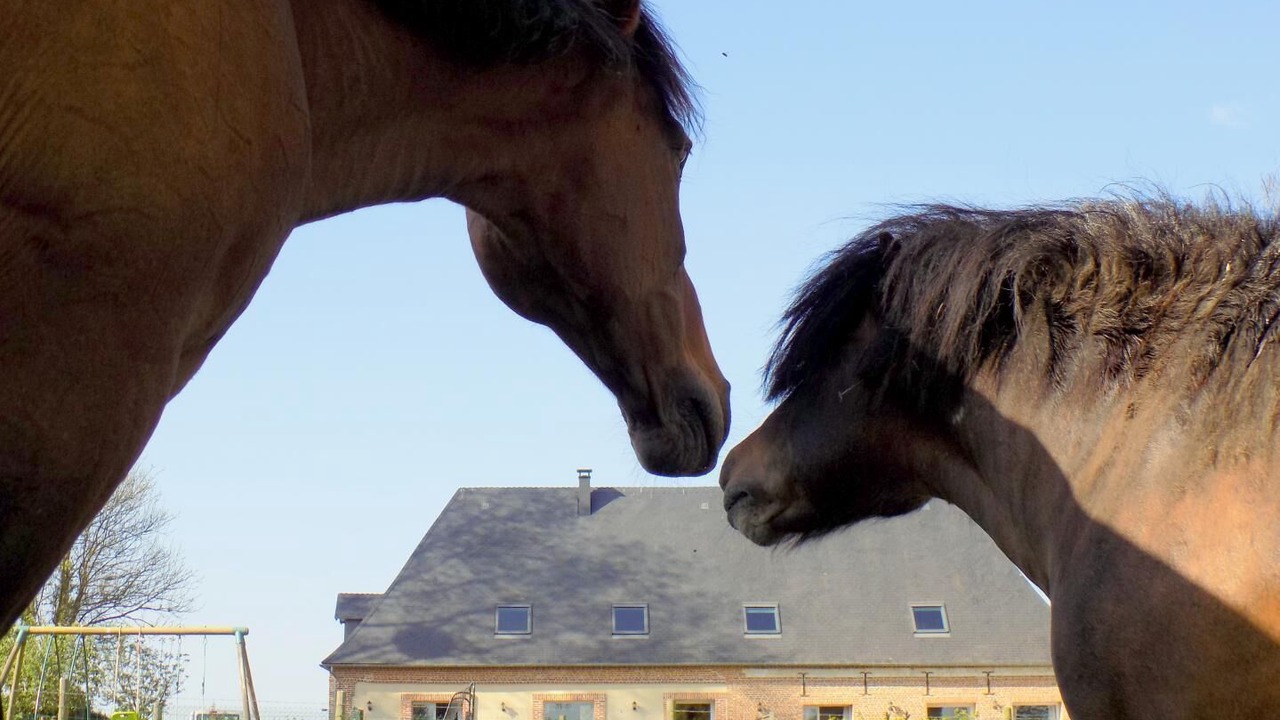 Photo of Others in Saint-Crespin
