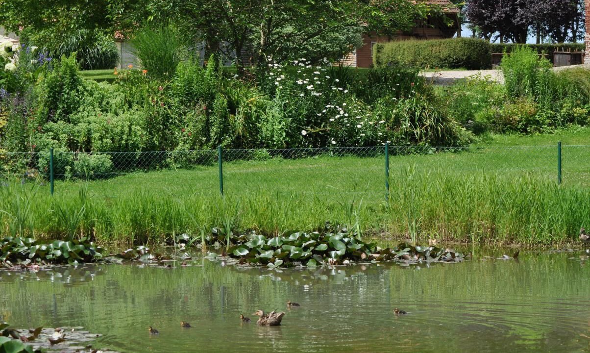 Photo of Outdoor in Saint-Crespin