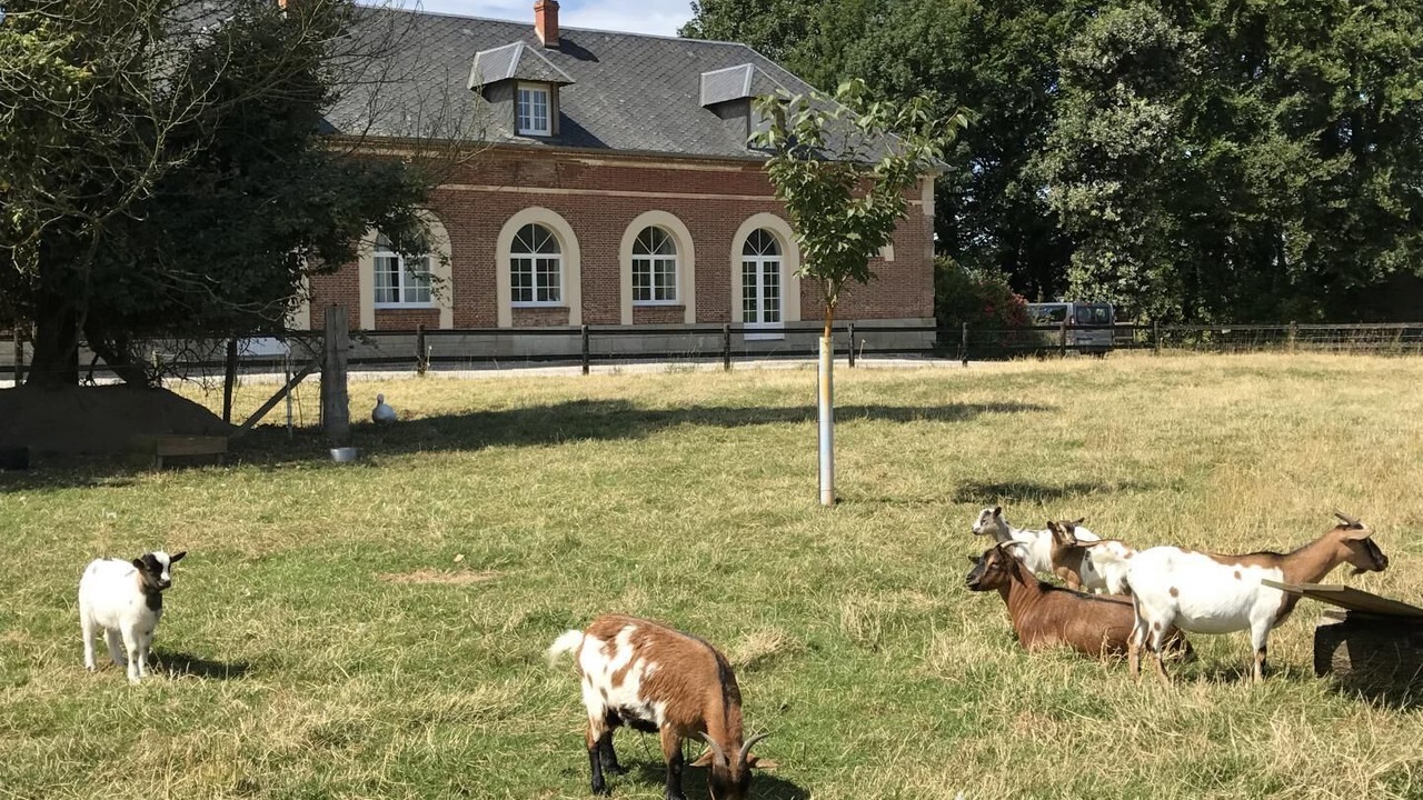 Photo of Others in Sassetot-le-Mauconduit