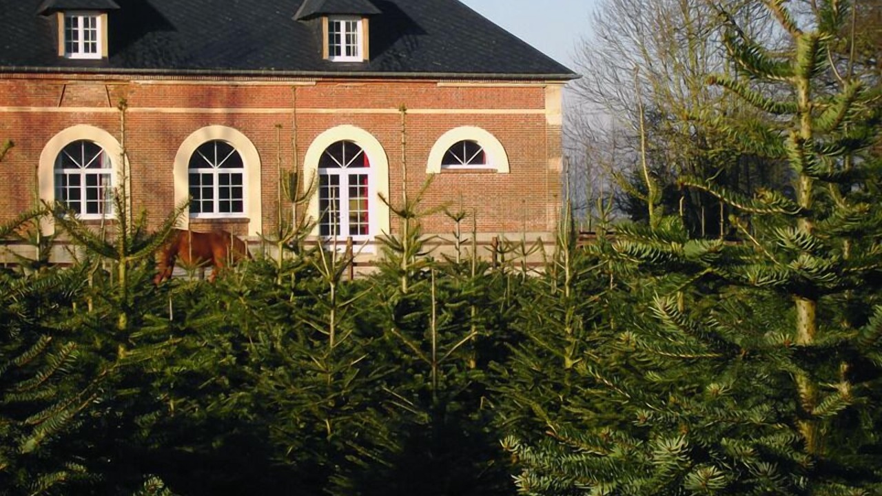 Photo of Outdoor in Sassetot-le-Mauconduit