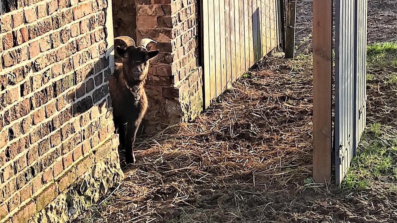 Photo of Others in Turretot