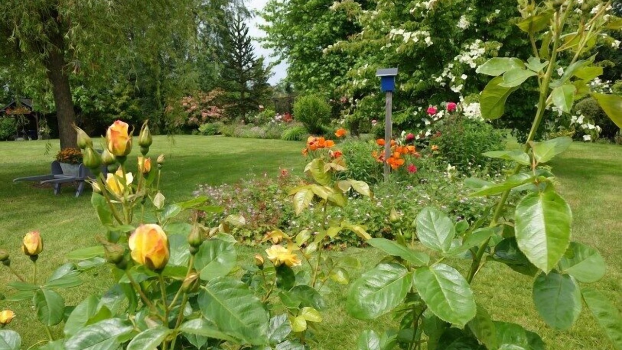 Photo of Outdoor in Ectot-lʼAuber