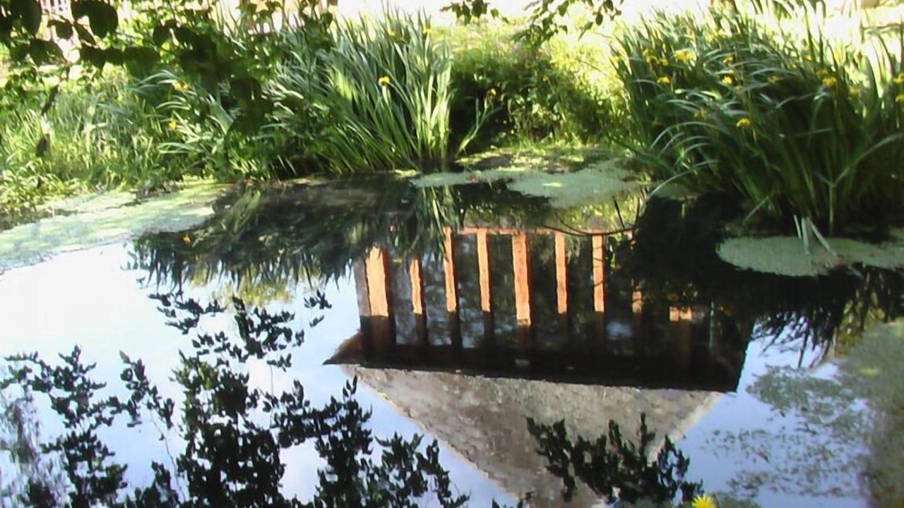 Photo of Outdoor in Pavilly