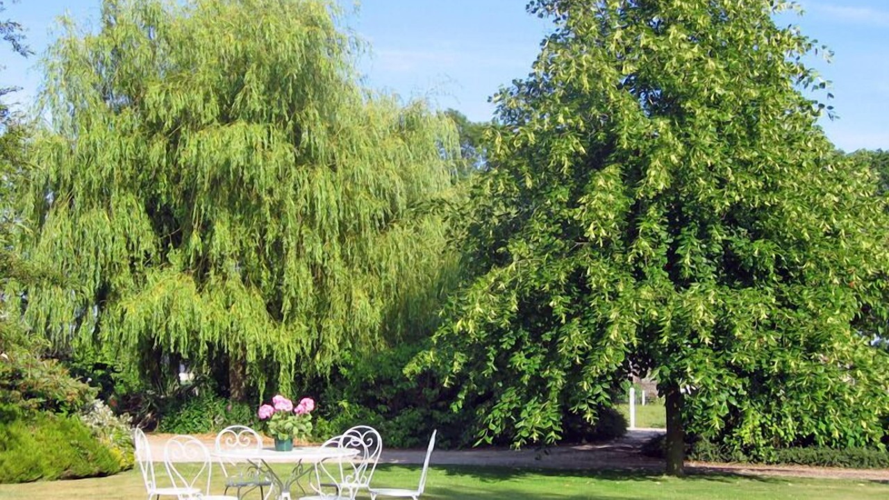 Photo of Outdoor in Gerville