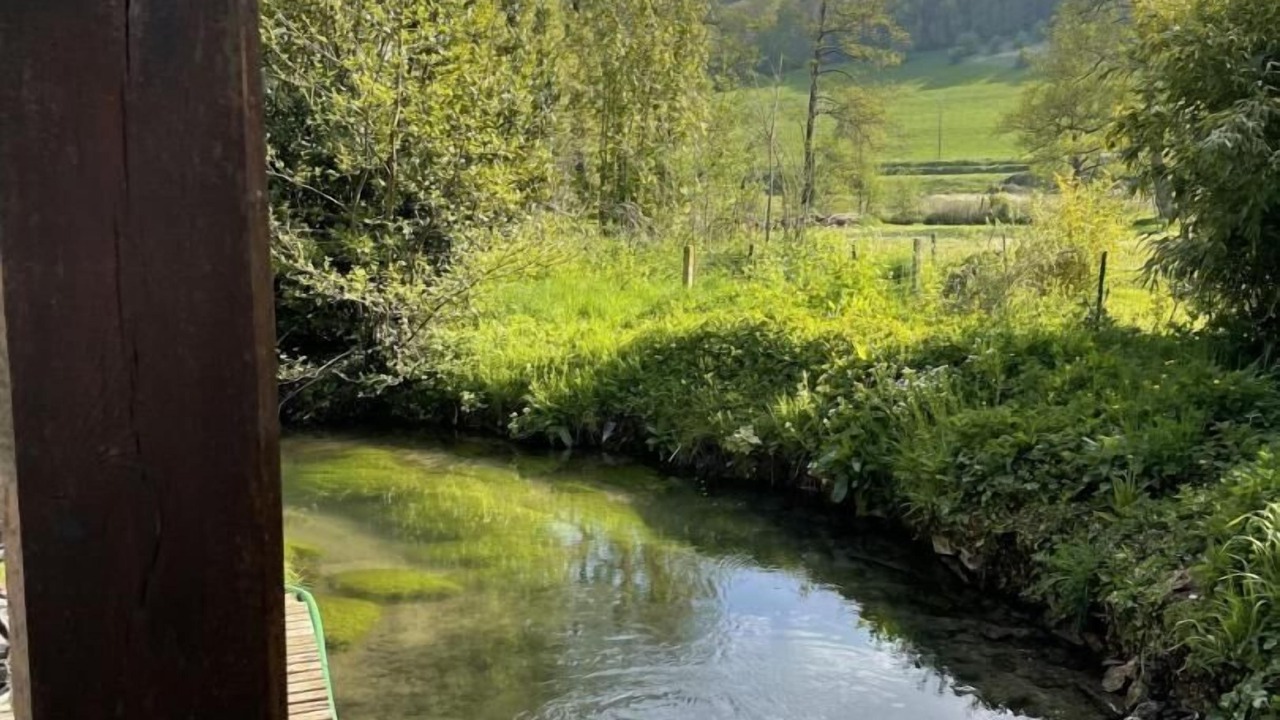 Photo of Others in Saint-Martin-le-Gaillard