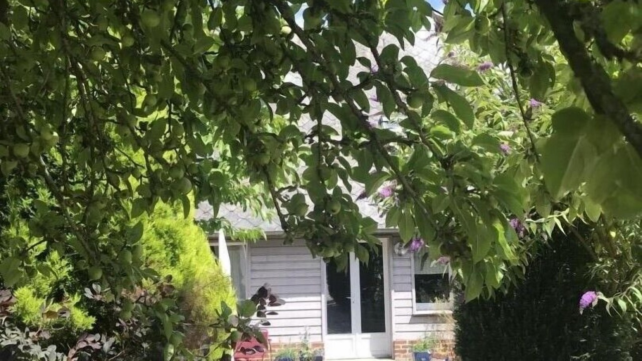 Photo of Outdoor in Ancretteville-sur-Mer