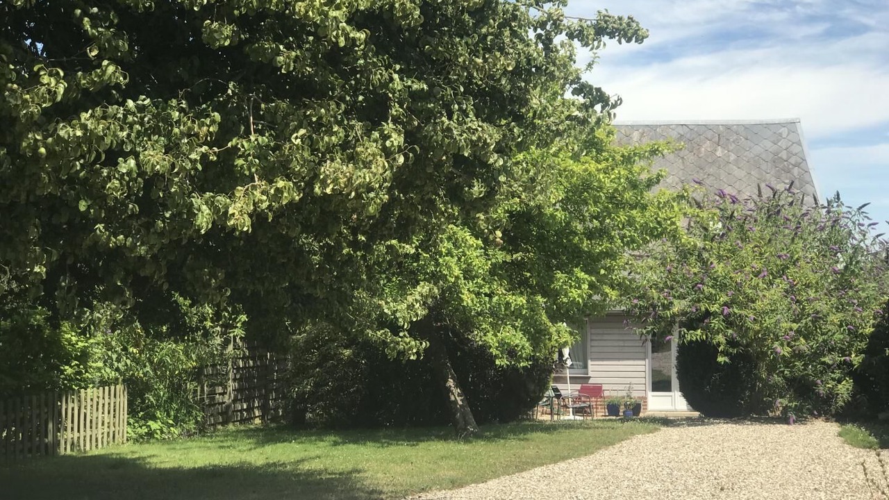 Photo of Outdoor in Ancretteville-sur-Mer