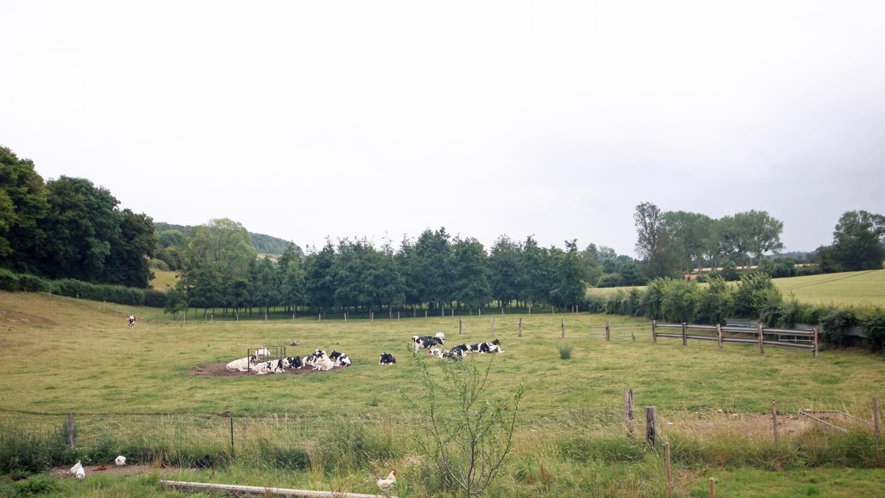 Photo of Others in Osmoy-Saint-Valery