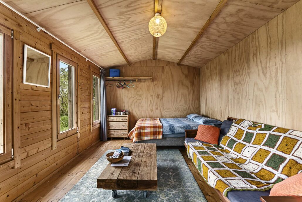 Photo of Others in Pitone