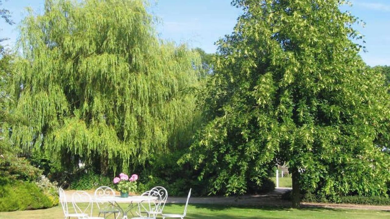 Photo of Outdoor in Gerville