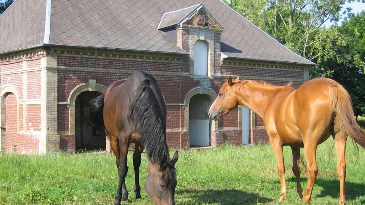 Photo of Others in Gerville